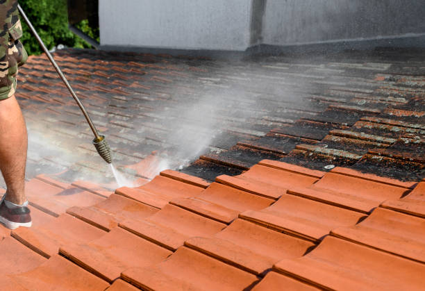 Best Residential Pressure Washing Services  in Raymond, IL