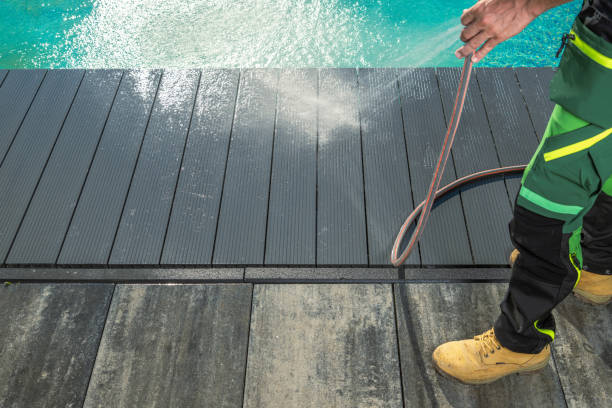 Best Exterior Home Cleaning  in Raymond, IL