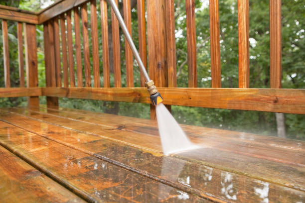 Best Roof Power Washing Services  in Raymond, IL