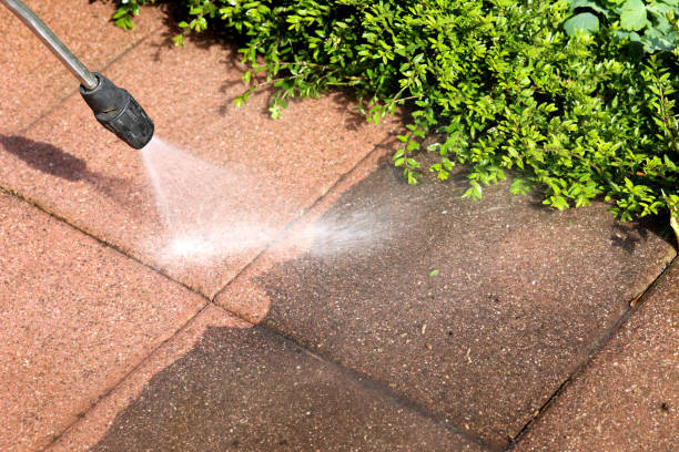 Best Power Washing Near Me  in Raymond, IL